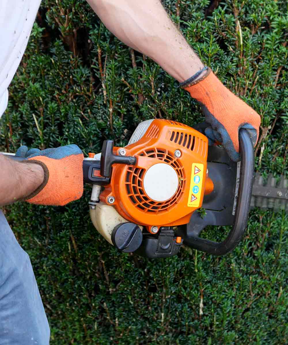 man using trimmer to cut a bush